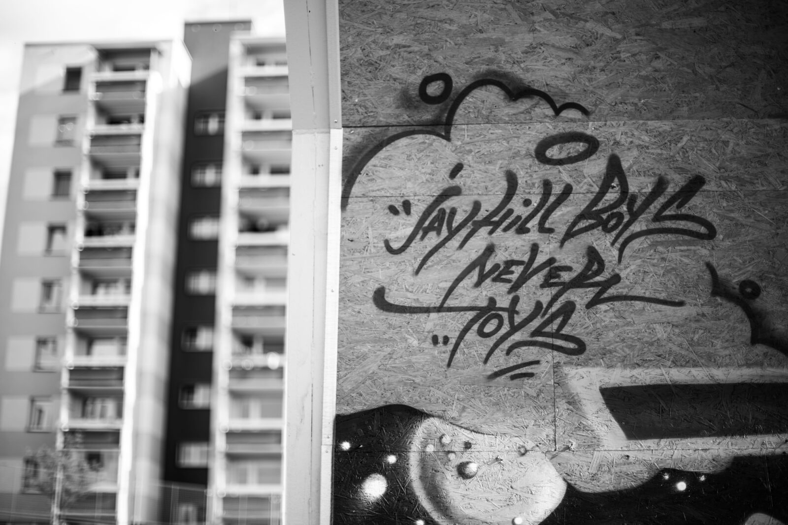 důkaz o sídlišti nad lužnicí sídliště sojčák tábor galerie kultura graffiti