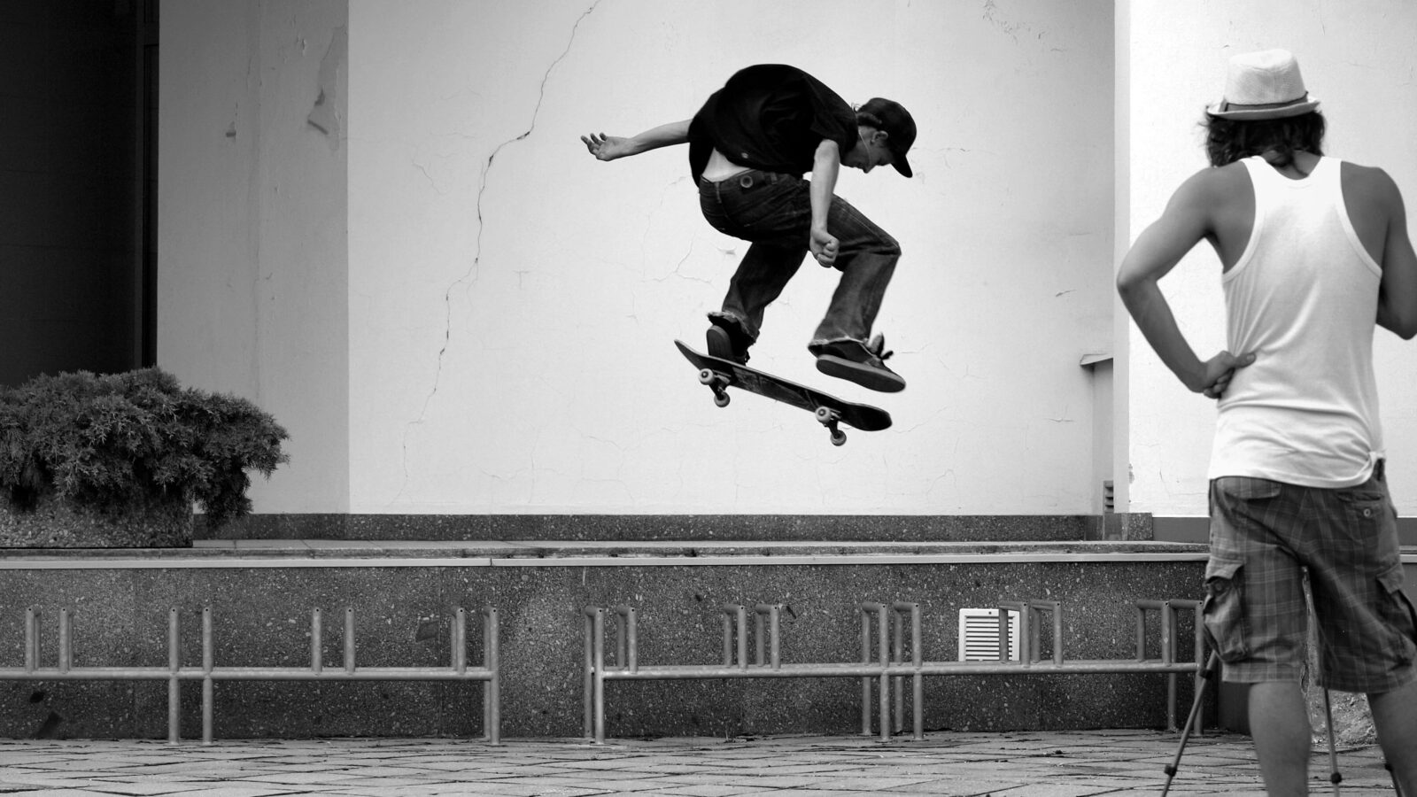 důkaz o sídlišti nad lužnicí sídliště sojčák tábor galerie kultura skate matěj šabatka